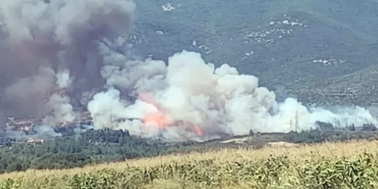 Φωτιά στο Διαλεκτό Καβάλας – Εστάλη «112» για εκκένωση