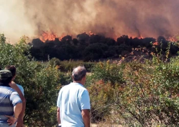 Τεράστιο το μέτωπο στον Έβρο: Μήνυμα του 112 για εκκένωση σε Λευκίμμη και Κασσιτερά Ροδόπης