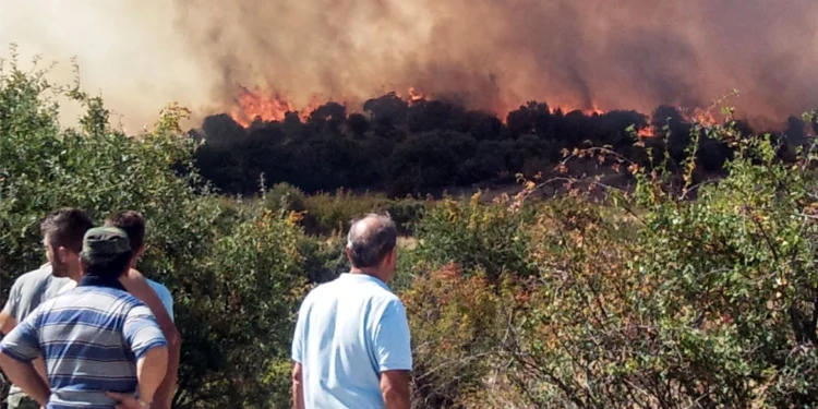 Τεράστιο το μέτωπο στον Έβρο: Μήνυμα του 112 για εκκένωση σε Λευκίμμη και Κασσιτερά Ροδόπης