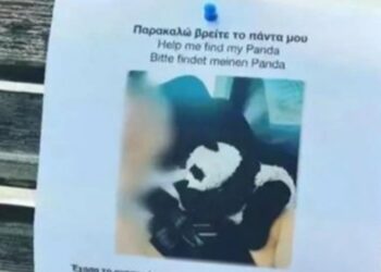 Πήλιο: Εξαφανίστηκε… λούτρινο πάντα – Αμοιβή 250 ευρώ σε όποιον το βρει (Βίντεο)