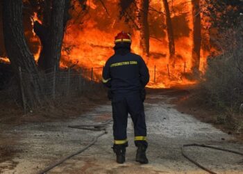 Φωτιά στο Δεβελίκι Χαλκιδικής: 10 οχήματα με 28 πυροσβέστες στην περιοχή