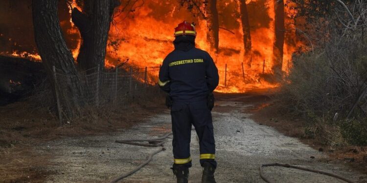 Φωτιά στο Δεβελίκι Χαλκιδικής: 10 οχήματα με 28 πυροσβέστες στην περιοχή