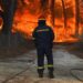 Φωτιά στο Δεβελίκι Χαλκιδικής: 10 οχήματα με 28 πυροσβέστες στην περιοχή