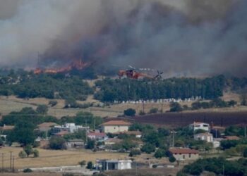 Εντοπίστηκε σορός άνδρα σε προχωρημένη σήψη στην Ταύρη Σουφλίου