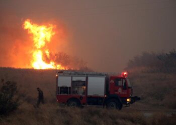 Κεφαλονιά: Συνελήφθη εποχικός πυροσβέστης για 5 εμπρησμούς