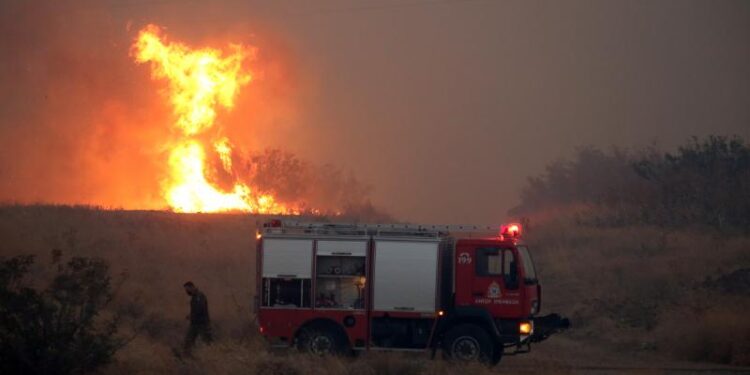 Κεφαλονιά: Συνελήφθη εποχικός πυροσβέστης για 5 εμπρησμούς