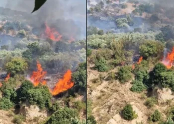 Σέρρες: Καλύτερη εικόνα της φωτιάς στο Βαμβακόφυτο – Παραμένουν οι ισχυρές δυνάμεις (φωτογραφίες)