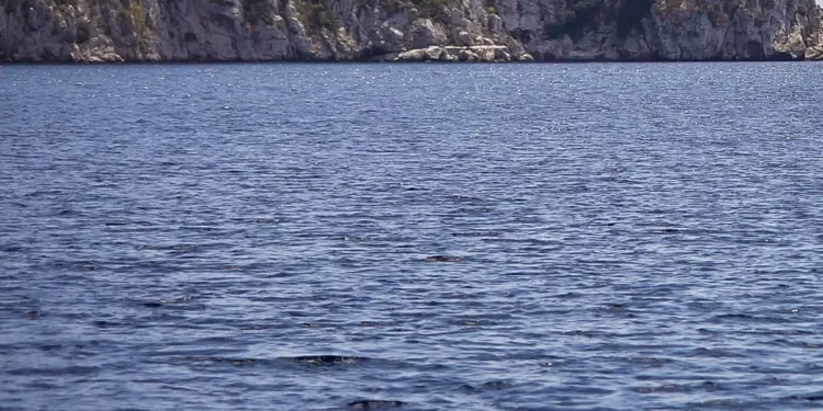 Οδυσσέας Σταμούλης: Τα δύο σενάρια για τον θάνατο του 11χρονου γιου του στους Φούρνους Ικαρίας