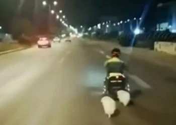 Τραγωδία στη Βάρκιζα: 87χρονος παρέσυρε και σκότωσε 40χρονο με αναπηρικό αμαξίδιο μαζί με τα δύο σκυλάκια του