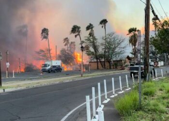 Οι πιο άτυχοι τουρίστες: Δεν πήγαν στη Ρόδο, λόγω της μεγάλης φωτιάς και βρέθηκαν… πυρόπληκτοι στη Χαβάη