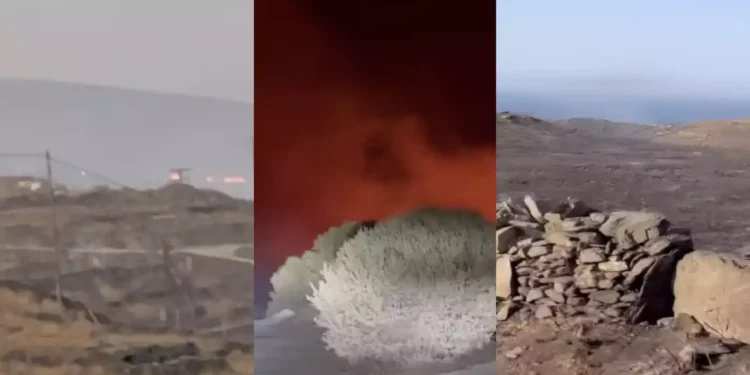 Ζέτα Μακρυπούλια για τη φωτιά στην Κύθνο: «Μας είπαν: μαζέψτε δυο πράγματα και φεύγουμε»