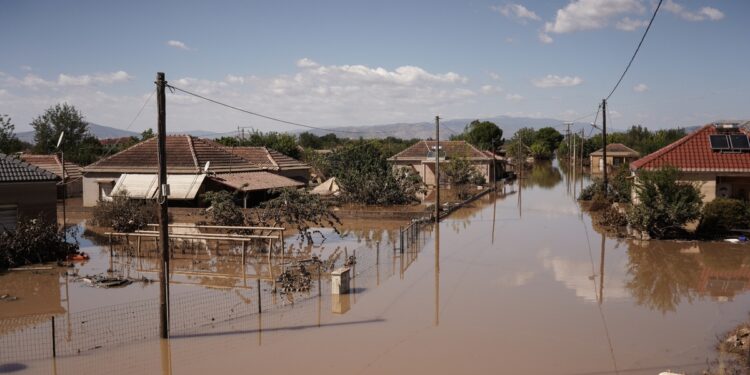 Τι δίνει ο θεσσαλικός κάμπος – Τι θα ακριβύνει λόγω εισαγωγών