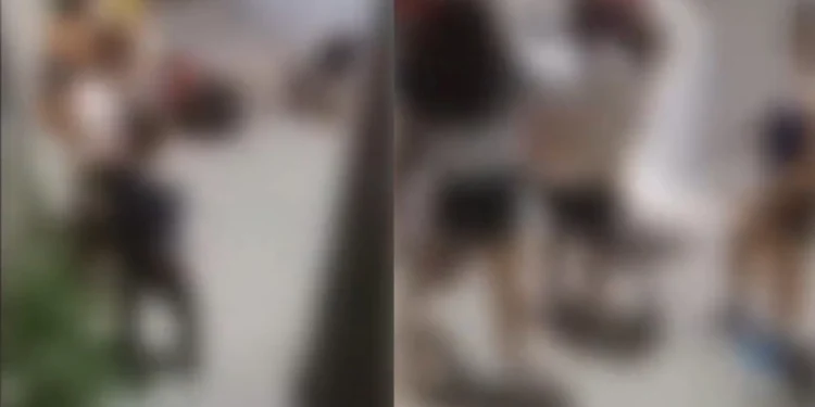 Άγριο ξύλο μεταξύ μαθητριών σε σχολείο της Ρόδου: «Δεν έχουμε ξαναδεί κάτι τέτοιο, τα παιδιά έχουν πολύ θυμό μέσα τους» (vid)