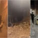 Μαρόκο: Ισχυρός σεισμός 6,9 βαθμών στο νοτιοδυτικό τμήμα της χώρας, τουλάχιστον 296 νεκροί – Δείτε βίντεο
