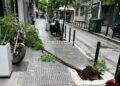 Θεσσαλονίκη: Μέθυσε και ξερίζωσε δέντρο στο κέντρο της πόλης (φωτο)