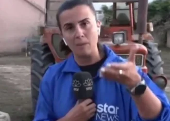 Έξαλλη η δημοσιογράφος του Star: «Μου είπε ο δήμαρχος ότι τα νεκρά ζώα στις γειτονιές πρέπει να τα μαζεύει ο κόσμος μόνος του» (vid)