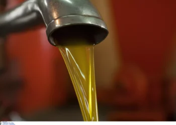 Κρήτη: Έκλεψαν 200 κιλά ελαιόλαδο – Στα ύψη οι τιμές και το ενδιαφέρον κλεφτών για λάδι