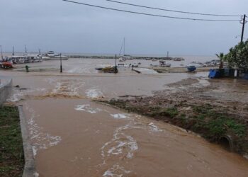 Χαλκιδική: «Χτυπά» τις επόμενες ώρες η κακοκαιρία Daniel – Έπεσαν δέντρα