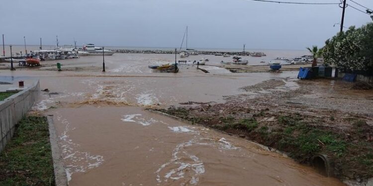 Χαλκιδική: «Χτυπά» τις επόμενες ώρες η κακοκαιρία Daniel – Έπεσαν δέντρα
