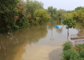 Συγκλονιστική μαρτυρία εθελόντριας στην Καρδίτσα: «Υπάρχει μέσα σε σπίτι άνθρωπος νεκρός» (vid)