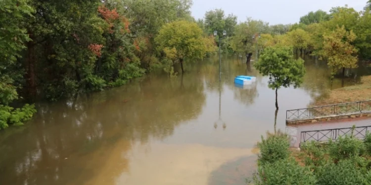 Συγκλονιστική μαρτυρία εθελόντριας στην Καρδίτσα: «Υπάρχει μέσα σε σπίτι άνθρωπος νεκρός» (vid)