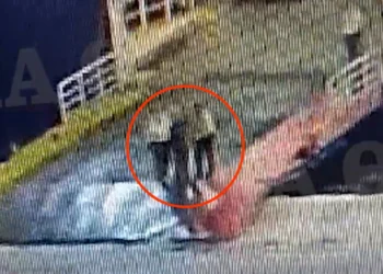 Δολοφονία στο Blue Horizon: Τι υποστήριξε ο λιμενικός που είχε υπηρεσία το βράδυ που δολοφονήθηκε ο Αντώνης