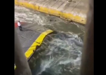 Blue Horizon: Άτομο με αναπηρία ο 36χρονος Αντώνης – Τα πρώτα λόγια του αδερφού του