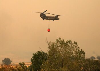 Έβρος: 15η μέρα μάχης με τις φλόγες – Ολονύχτια επιχείρηση στο “Διαβολόρεμα”