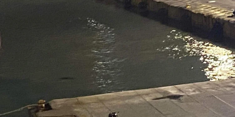 Τραγωδία στον Πειραιά: Σκοτώθηκε όταν πήδηξε για να προλάβει το πλοίο που είχε λύσει κάβους για Κρήτη!