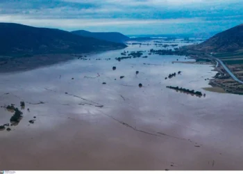 Κακοκαιρία – Λέκκας: Τουλάχιστον 5 χρόνια για να ανακάμψει ο Θεσσαλικός Κάμπος, 1 δισ. η ζημιά στους αγρότες