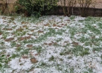 Πυκνό χαλάζι στην Ηλεία: Καταστράφηκαν καλλιέργειες, «στρώμα» οι ελιές, έπεσαν δέντρα [εικόνες]