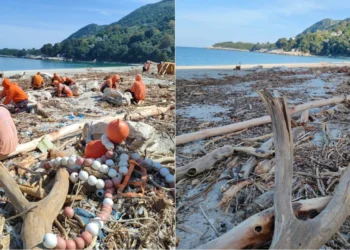 Typhoon Project: Ο «Τυφώνας» καθάρισε τις ακτές του Πηλίου – Δείτε τη διαφορά πριν και μετά