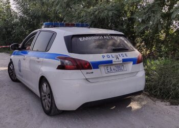 Μεσσηνία: 56χρονος πυροβόλησε 4 φορές τον αδερφό του στην κοιλιά γιατί τσακώθηκαν για ένα δέντρο