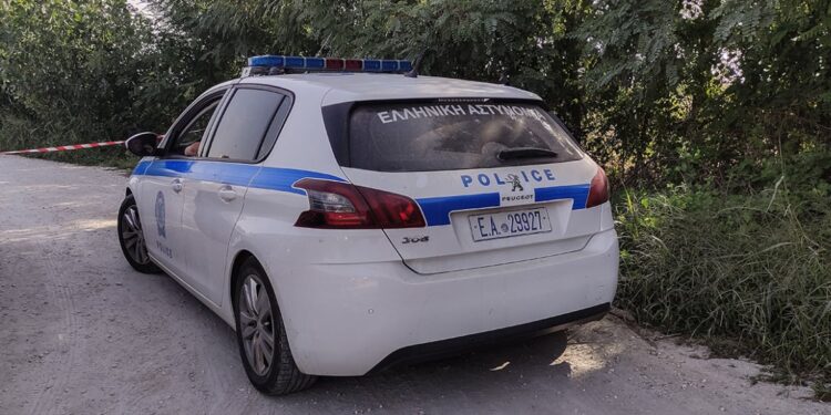 Μεσσηνία: 56χρονος πυροβόλησε 4 φορές τον αδερφό του στην κοιλιά γιατί τσακώθηκαν για ένα δέντρο