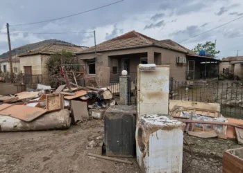 Θεσσαλία: «Καμπανάκι» για την αύξηση κουνουπιών στα πλημμυρισμένα – Εγκύκλιος με προτεινόμενες δράσεις