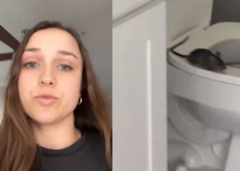 Εφιάλτης στην τουαλέτα: Κοπέλα φρίκαρε όταν ξεπήδησαν αρουραίοι από τη λεκάνη της (vid)