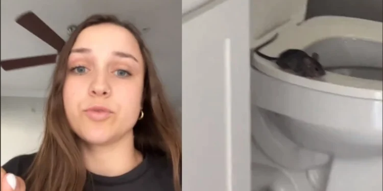 Εφιάλτης στην τουαλέτα: Κοπέλα φρίκαρε όταν ξεπήδησαν αρουραίοι από τη λεκάνη της (vid)