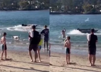 Τύπος έριξε λάσο σε ακυβέρνητο σκάφος που έκανε σβούρες (vid)