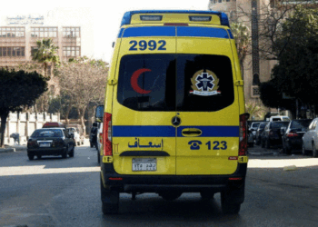 Φρίκη στην Αίγυπτο: Μητέρα αποκεφάλισε τον γιο της και έφαγε το κεφάλι του – Τι ειπώθηκε στη δίκη