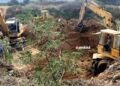 Κυνήγι του… χαμένου θησαυρού στο Άργος: Ψάχνουν για χιλιάδες λίρες κρυμμένες από την Κατοχή