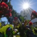 Καιρός: Κοπάζουν οι άνεμοι -Τους 30 βαθμούς θα αγγίξει σήμερα ο υδράργυρος