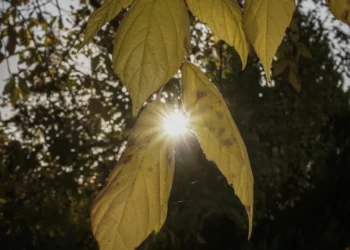 Φθινοπωρινή «στροφή» του καιρού: Πέφτει η θερμοκρασία, πού περιμένουμε βροχές -Η πρόγνωση της ΕΜΥ