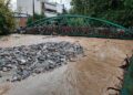 Καταγγελία: Νέο «έγκλημα κατά του περιβάλλοντος» στο Βόλο με το κόψιμο αιωνόβιων δένδρων