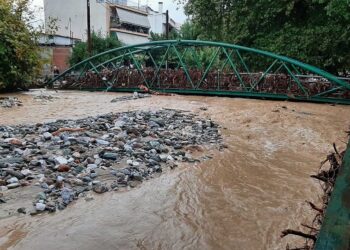 Καταγγελία: Νέο «έγκλημα κατά του περιβάλλοντος» στο Βόλο με το κόψιμο αιωνόβιων δένδρων