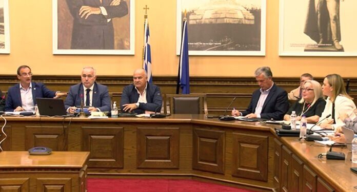 Διαξιφισμοί Χρυσάφη – Μητλιάγκα στο Δημοτικό Συμβούλιο για το θέμα του γηπέδου (βίντεο)