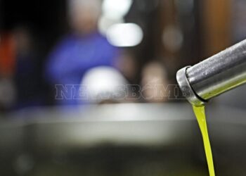 Σπάει τα ρεκόρ η τιμή του ελαιολάδου – Παραγωγός πούλησε 5 τόνους προπέρσινο λάδι για 30.000 ευρώ