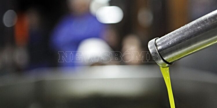 Σπάει τα ρεκόρ η τιμή του ελαιολάδου – Παραγωγός πούλησε 5 τόνους προπέρσινο λάδι για 30.000 ευρώ