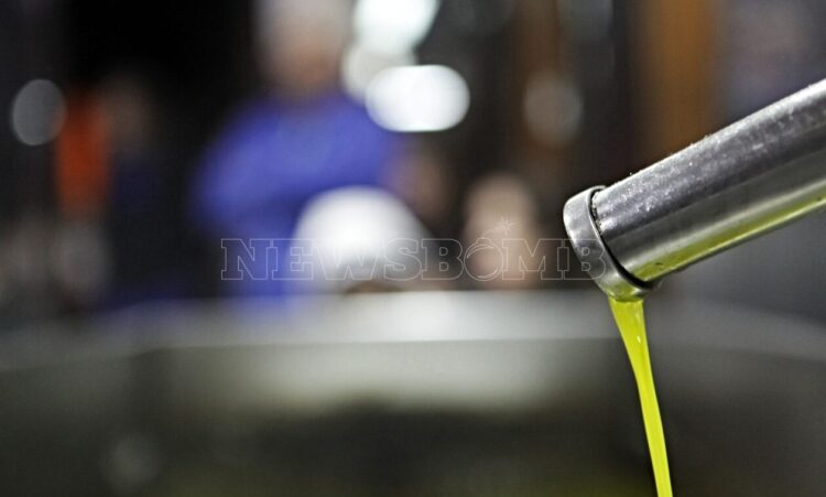 Σπάει τα ρεκόρ η τιμή του ελαιολάδου – Παραγωγός πούλησε 5 τόνους προπέρσινο λάδι για 30.000 ευρώ