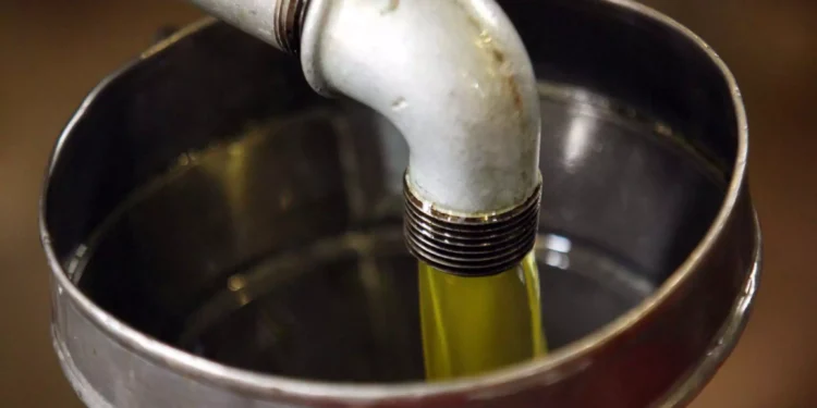 Ελαιόλαδο: Επικήρυξη 1.000 ευρώ στη Μεσσηνία για εκείνους που έκλεψαν 36 τσουβάλια με ελιές