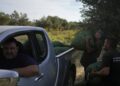 Ελαιόλαδο: Ζαλίζουν οι τιμές – Αυξάνονται οι κλοπές ακόμα και με αλυσοπρίονα